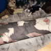 Skuru Dakimakura - Image 3